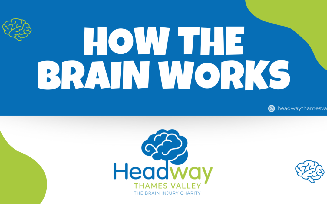 Workshops for schools: Fun lessons on brain health