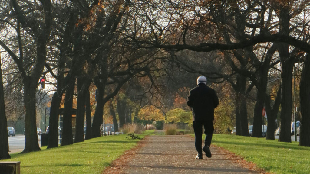 A person walking along a paved, tree-lined park path during autumn, with fallen leaves and green grass