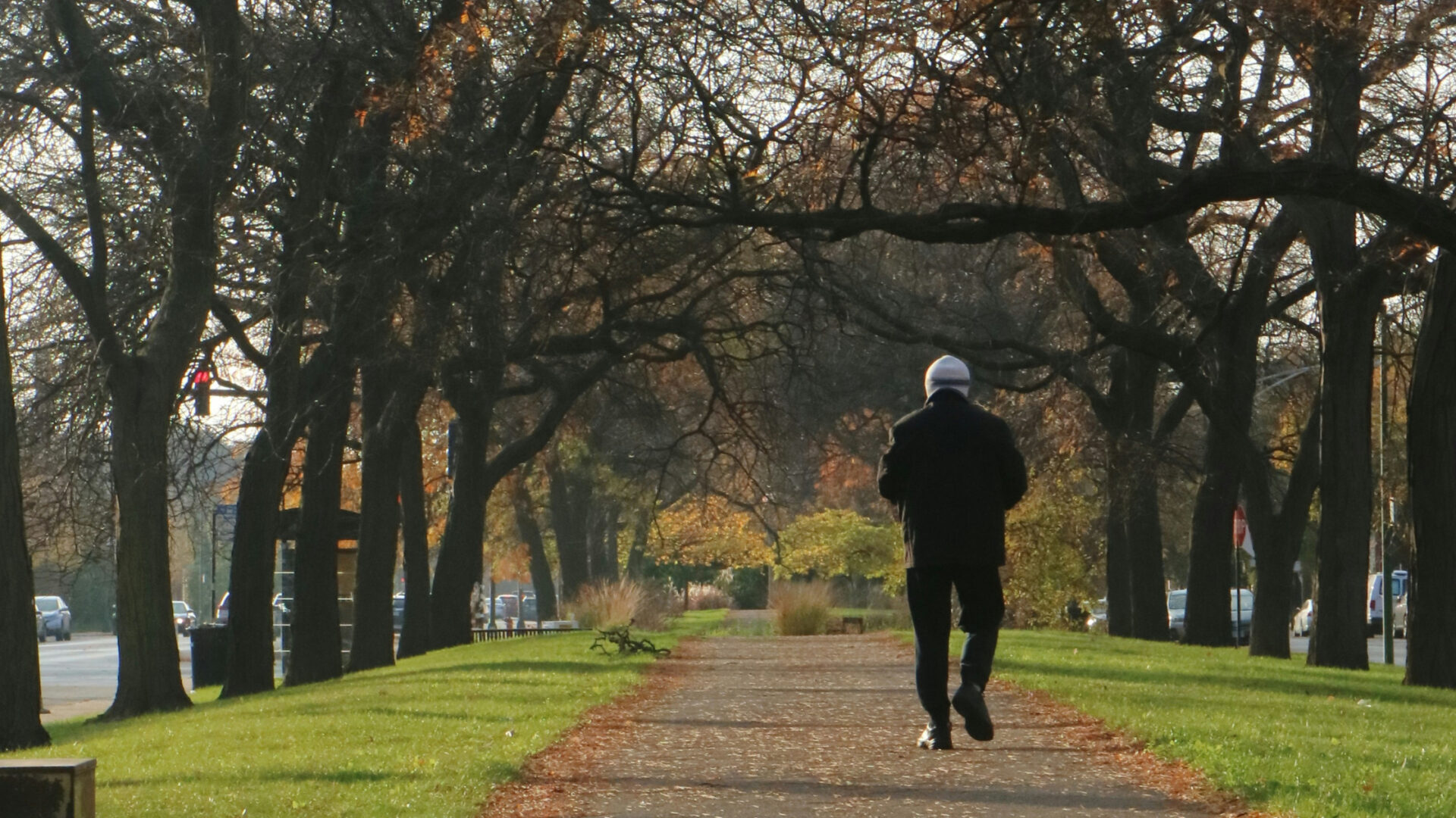 A person walking along a paved, tree-lined park path during autumn, with fallen leaves and green grass