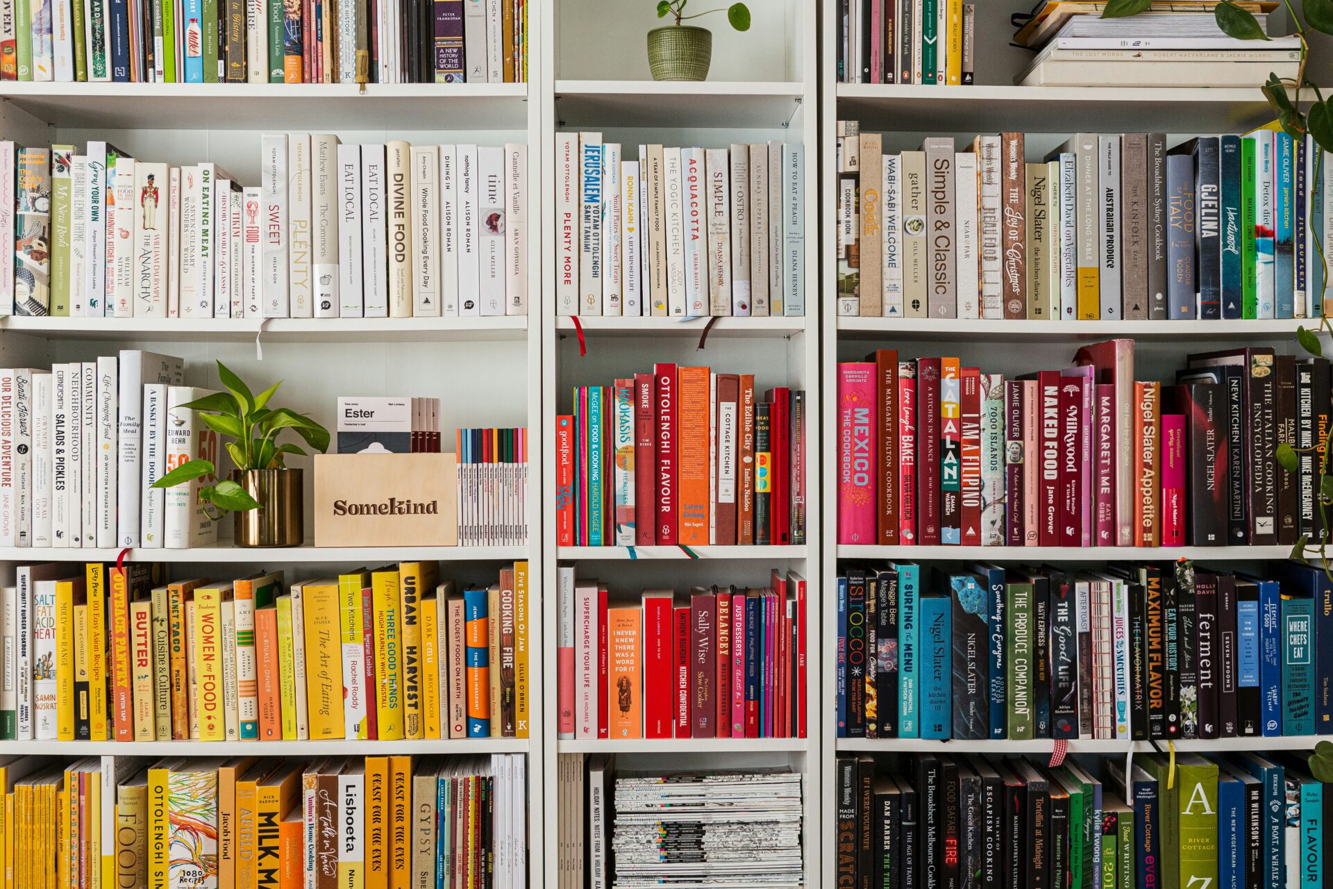 Color-organized bookshelf filled with neatly arranged books